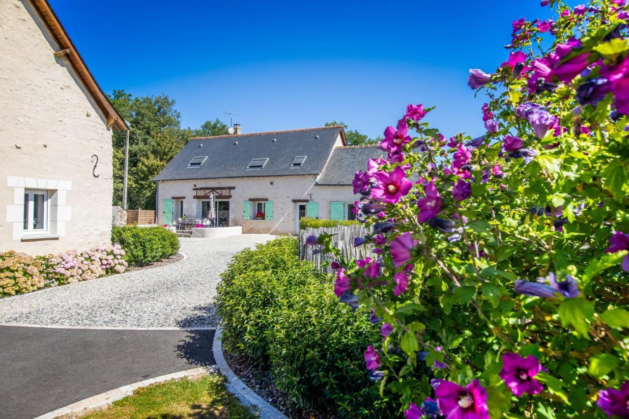 Saint-Branchs Metairie Du Villiers B&B 외부 사진